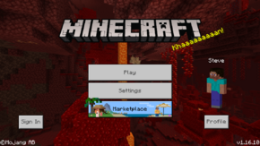 1.16.10 (Bedrock Edition).png